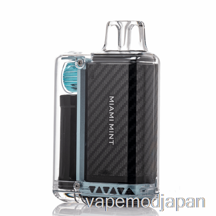 Vape Mod Vozol Vista 16000 使い捨て マイアミ ミント